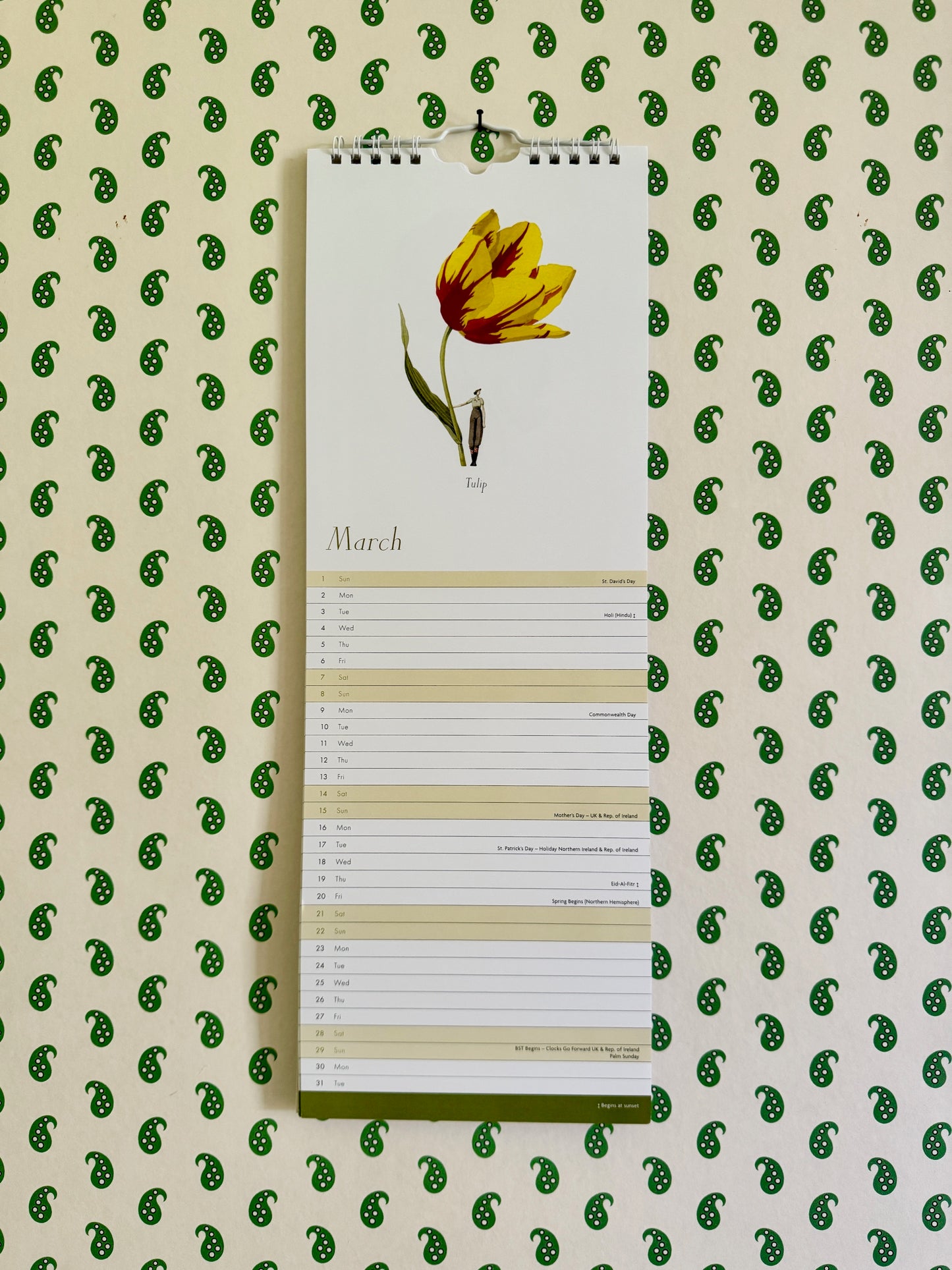 Laura Stoddart Wall Calendar 2026 - slim