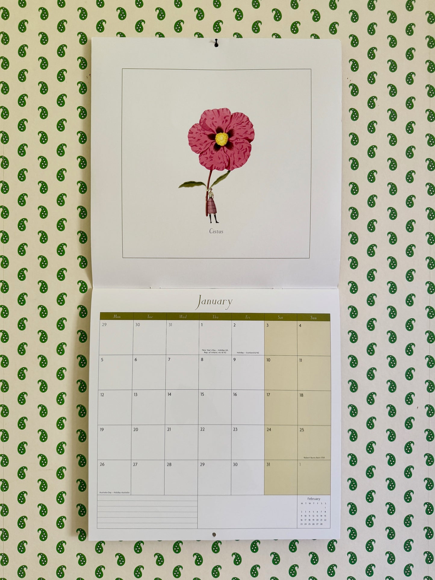 Laura Stoddart Wall Calendar 2026 - square