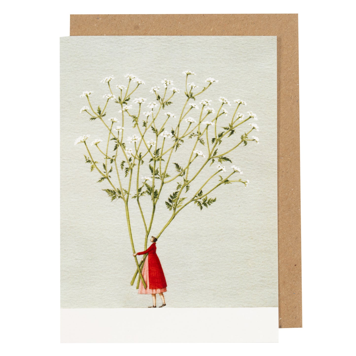 Cow Parsley
