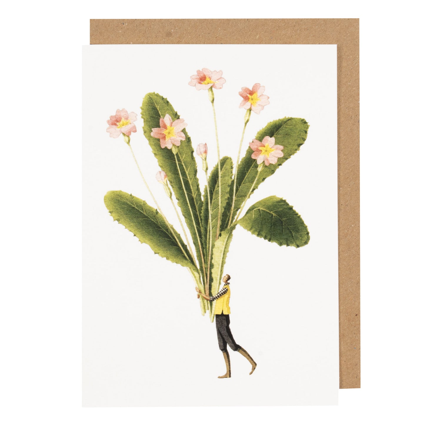 Spring Flowers - Primrose