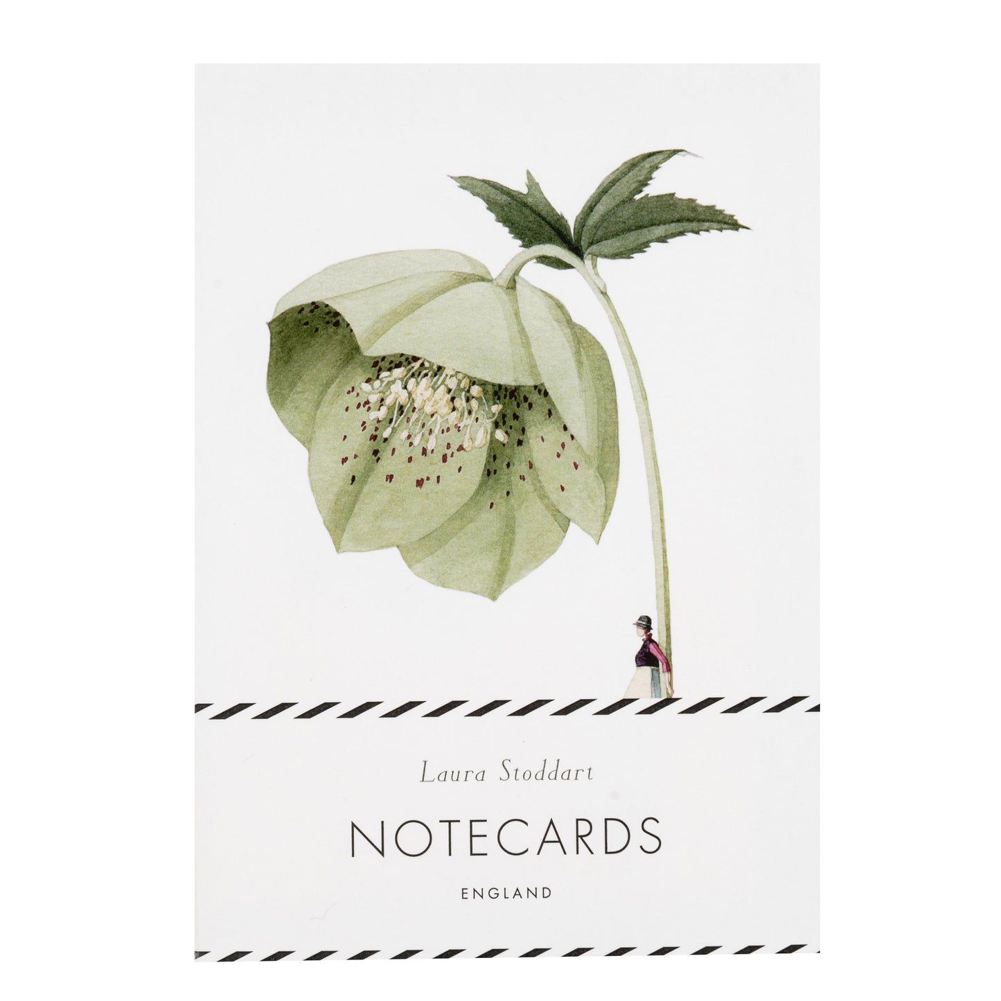 In Bloom Green Flowers Notecard Boxed Set