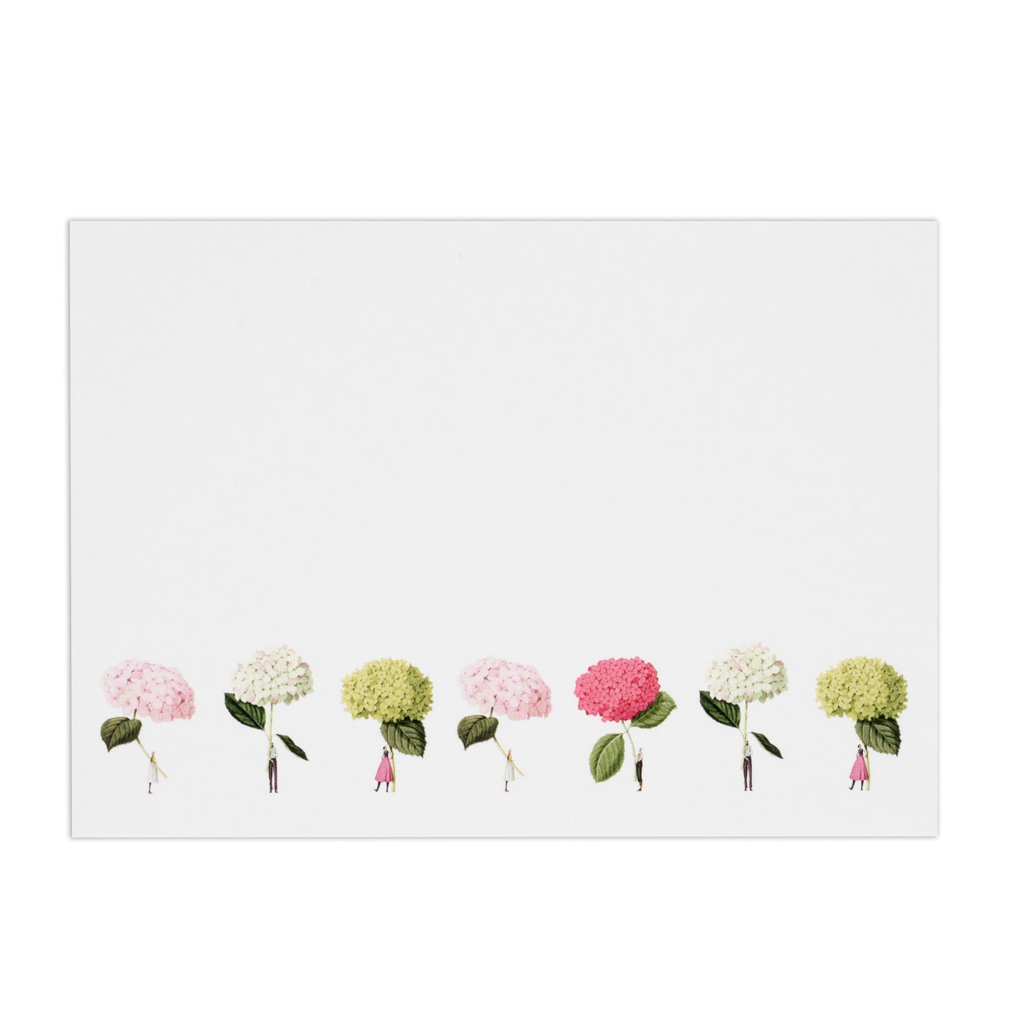 Flatnotes - Hydrangeas