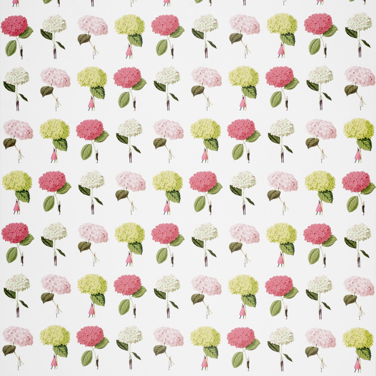 Hydrangeas Gift Wrap