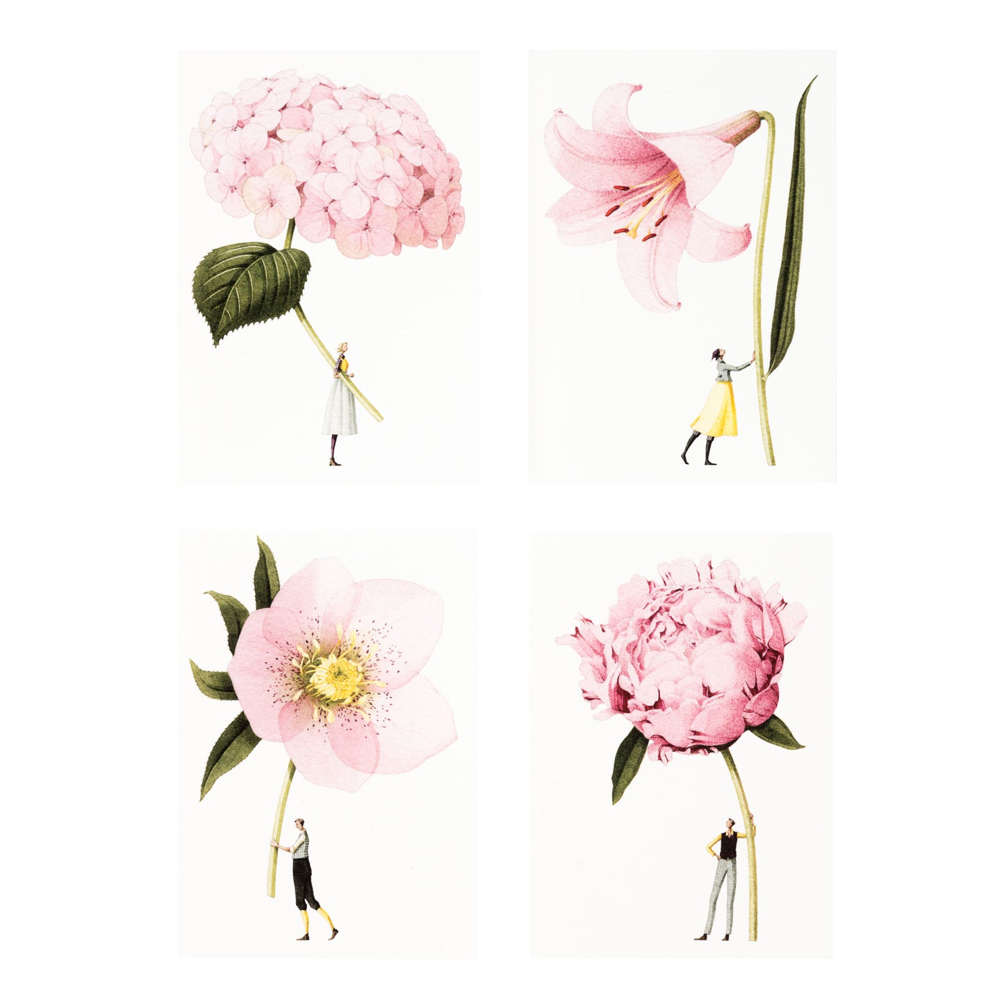 8 A6 notecards In Bloom Pink Flowers