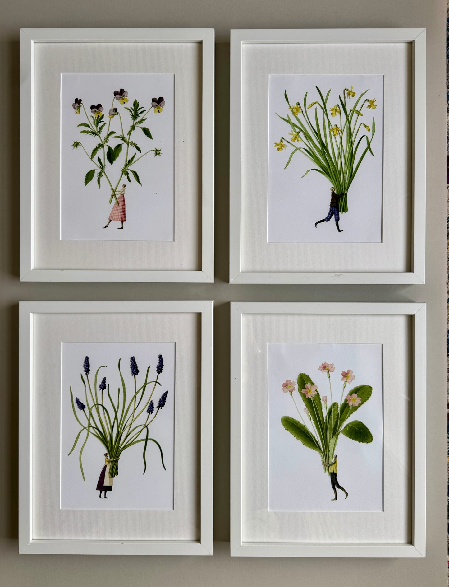 Viola 'Spring Flowers' mounted print