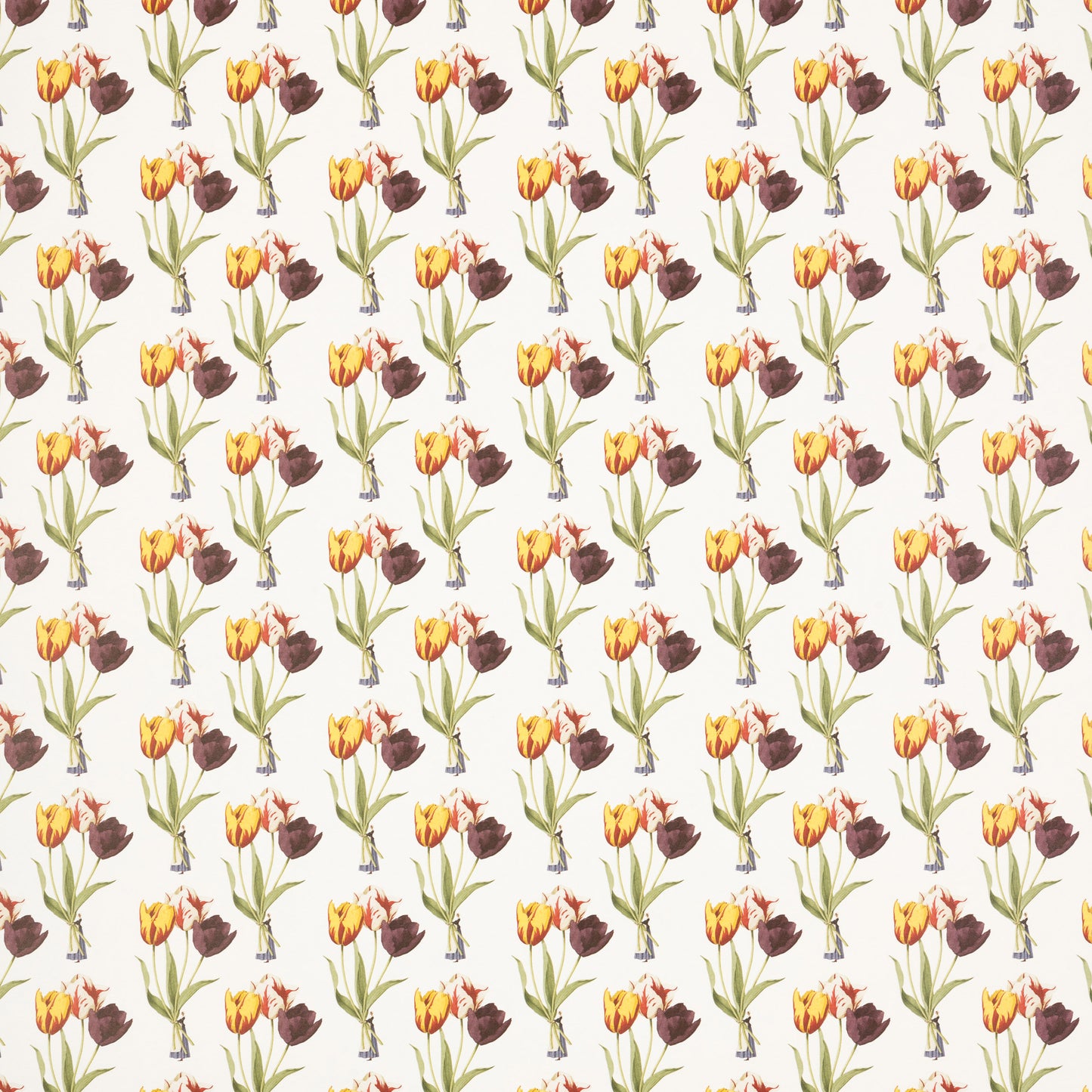 Tulips Gift Wrap