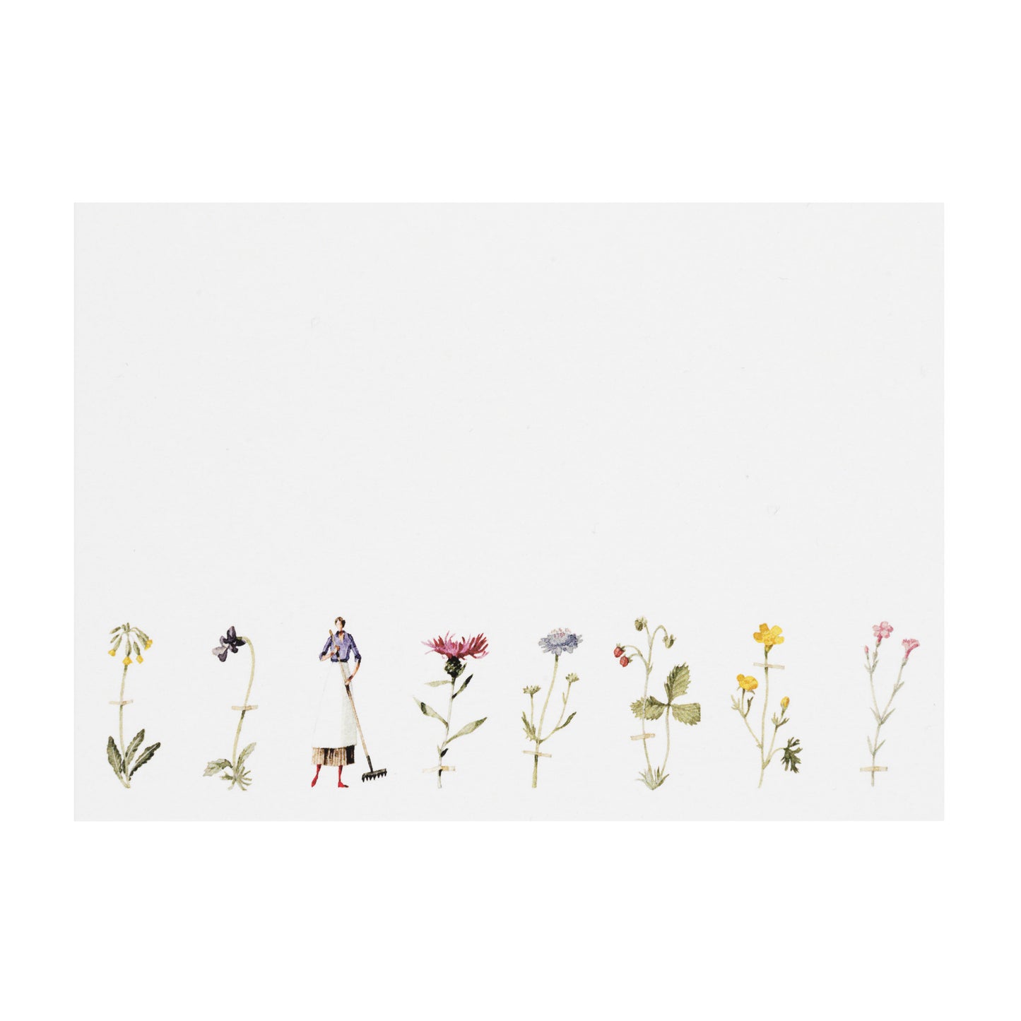 Wild Flowers Flat Notes