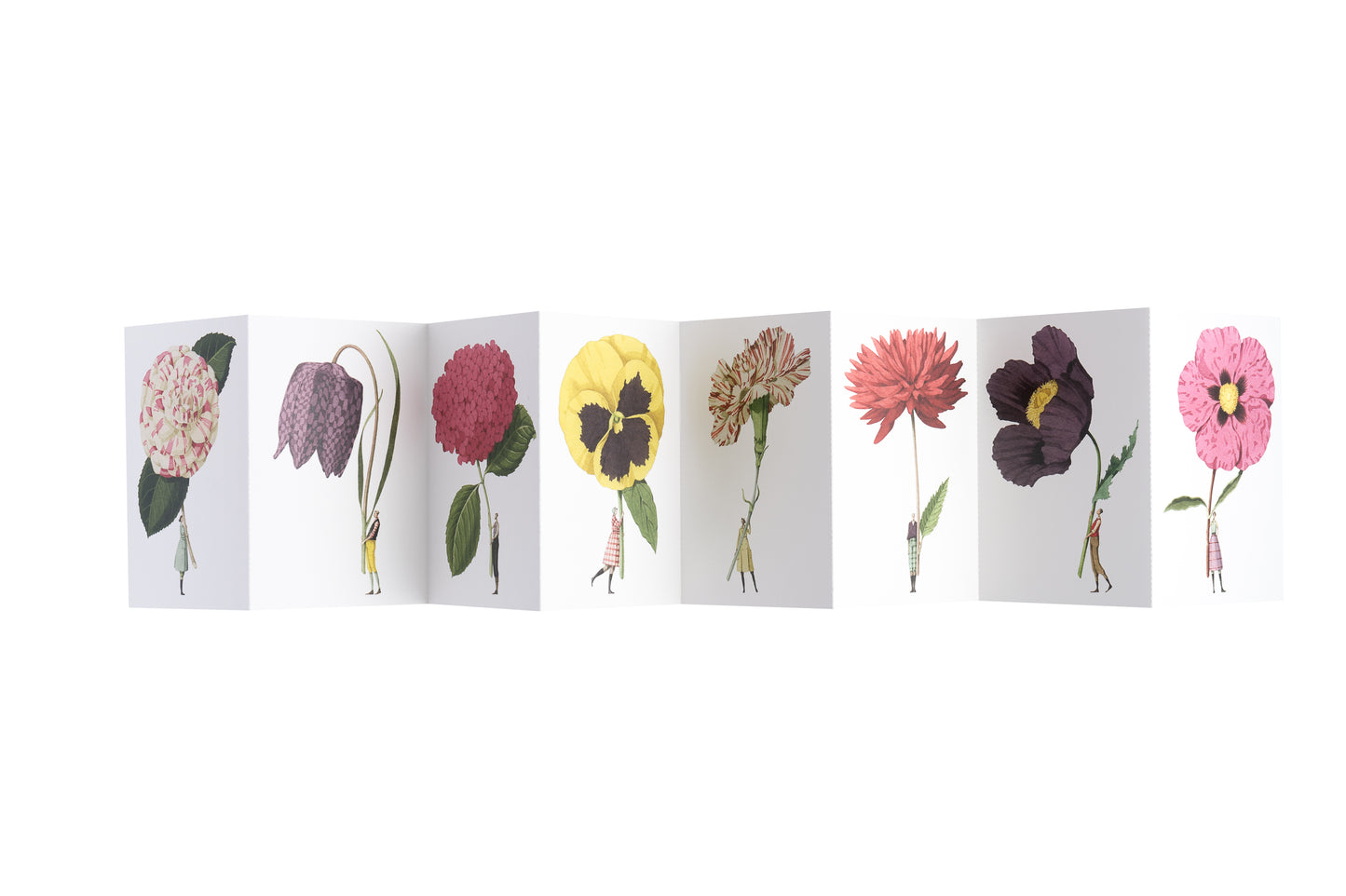 In Bloom Postcard Book