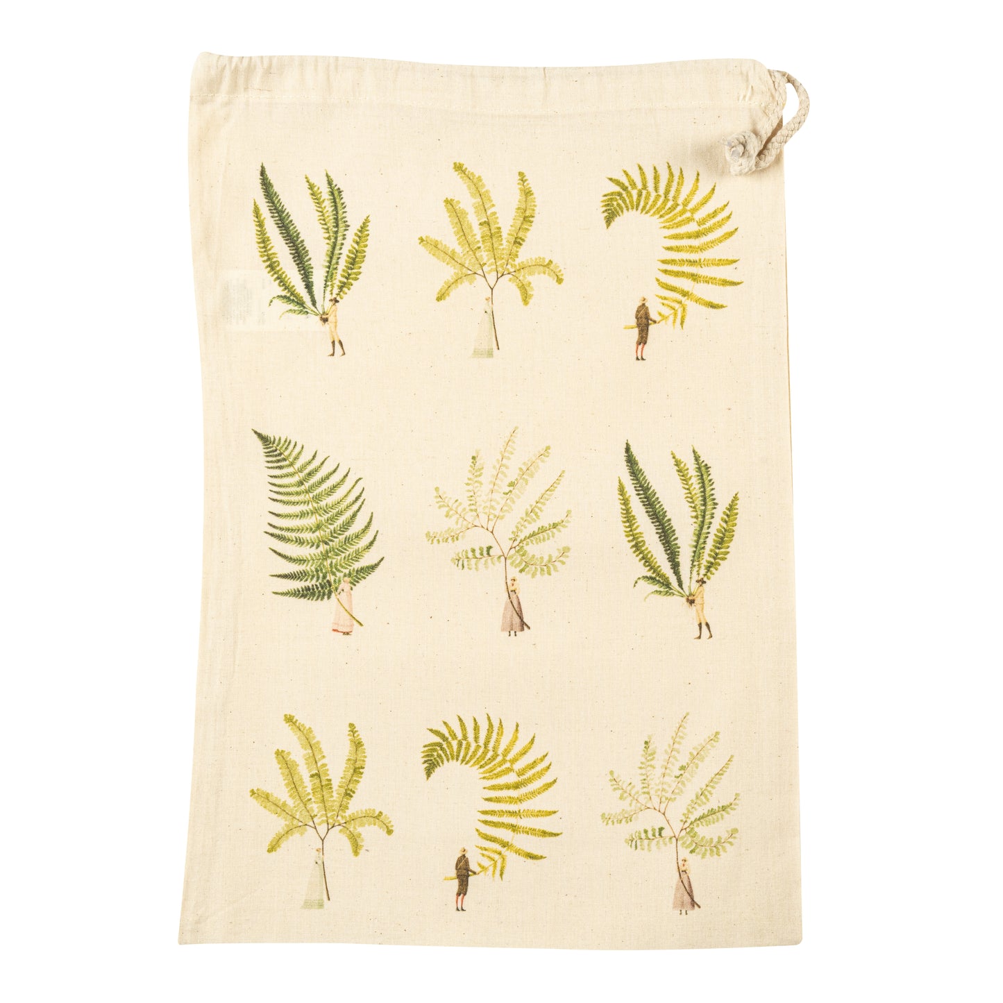 Fabulous Ferns - Multi