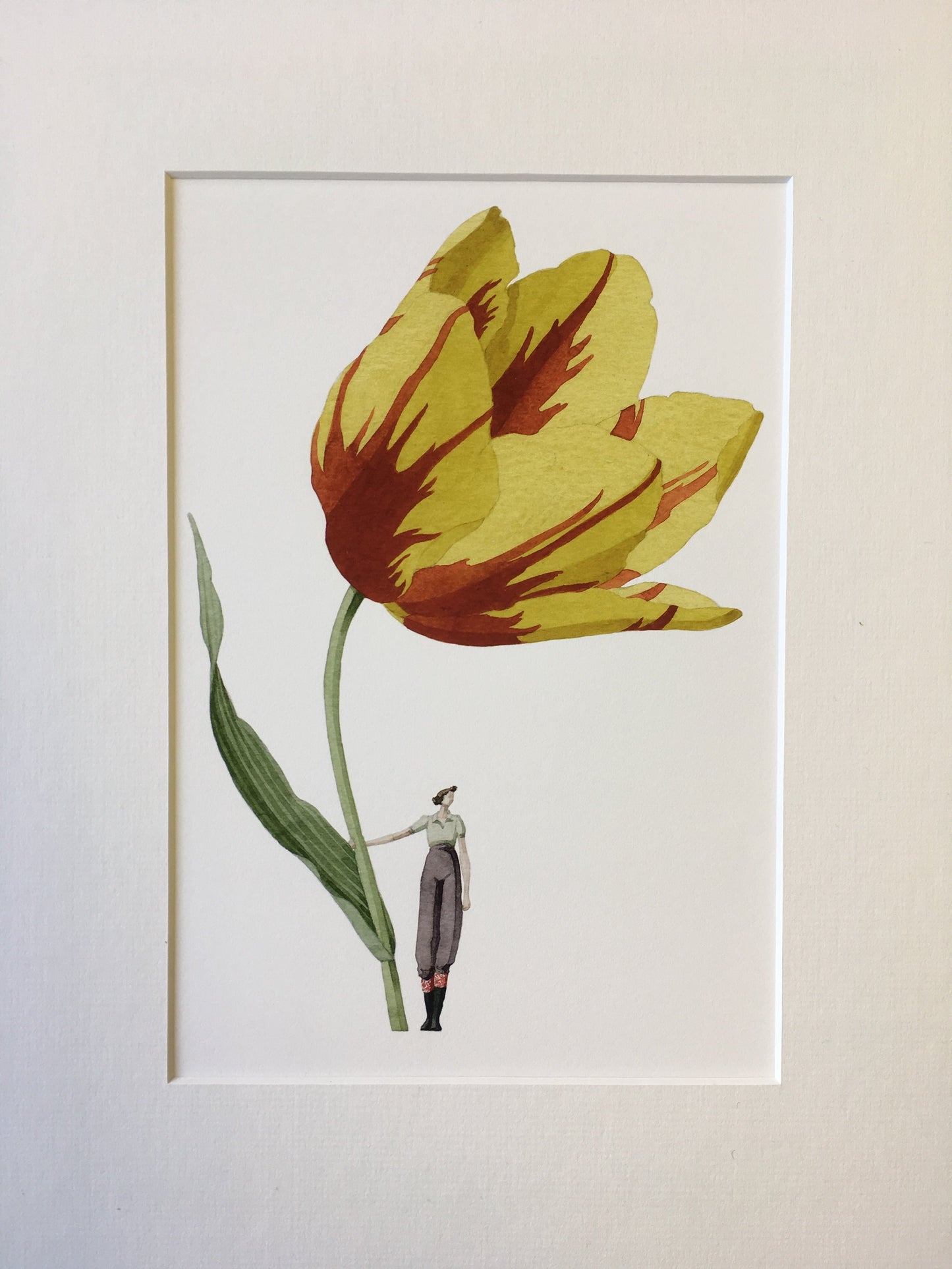 giclee print, mounted print, print, tulip, illustration, made in england, flowers, archival paper, art print