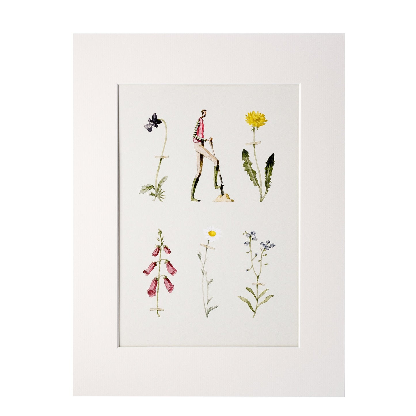 giclee print, mounted print, print, wild flowers, flowers, gentleman gardener, illustration, made in england, archival paper, art print