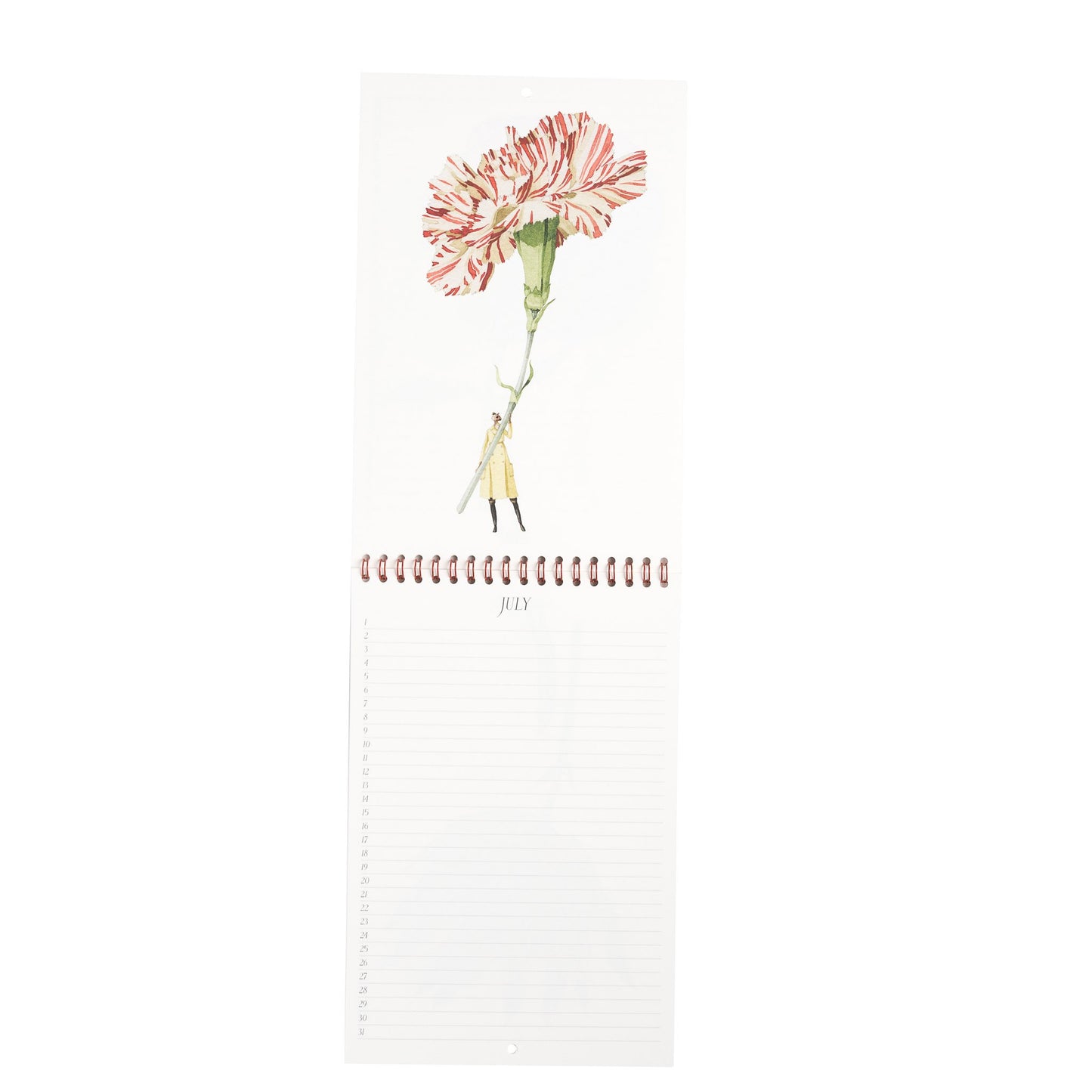 Birthday Calendar, Calendar, fsc paper, made in england, flowers, recyclable, illustration