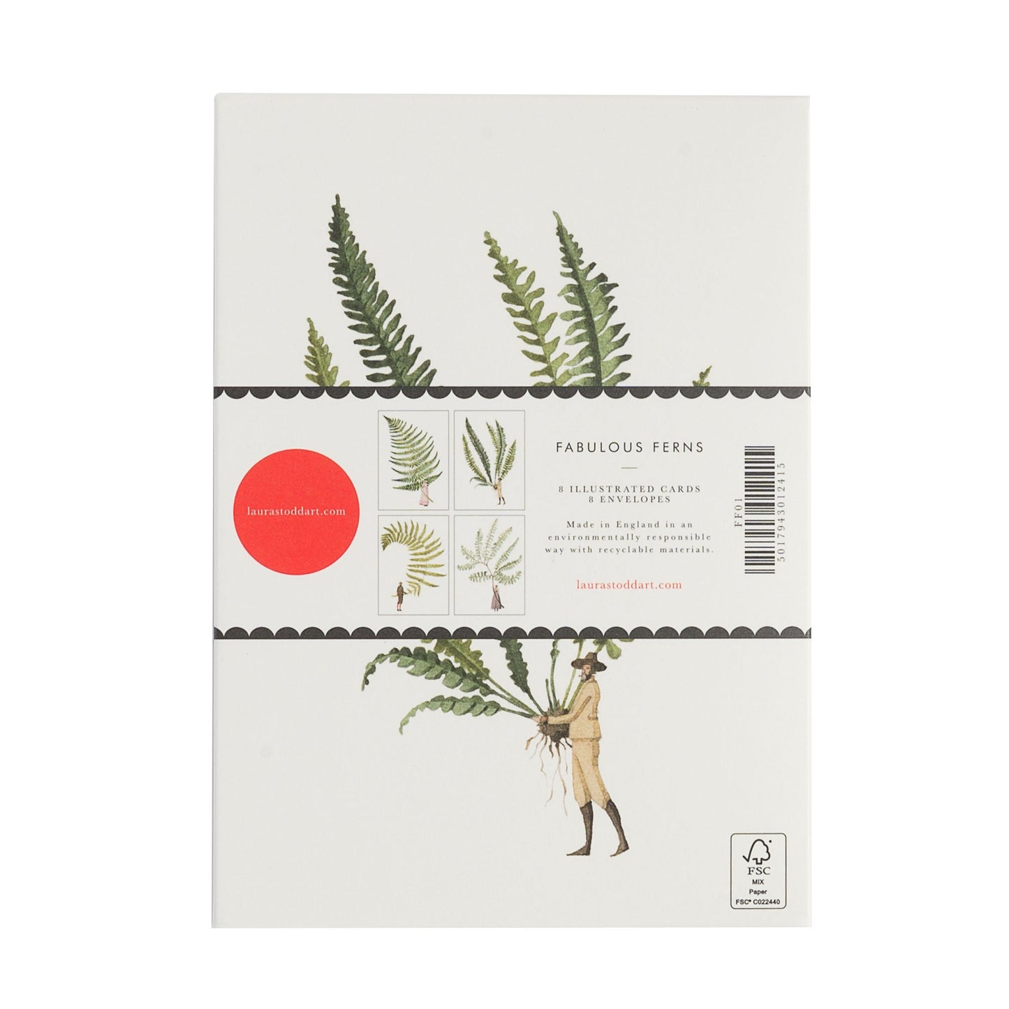 fsc paper, notecards, made in england, illustration, ferns