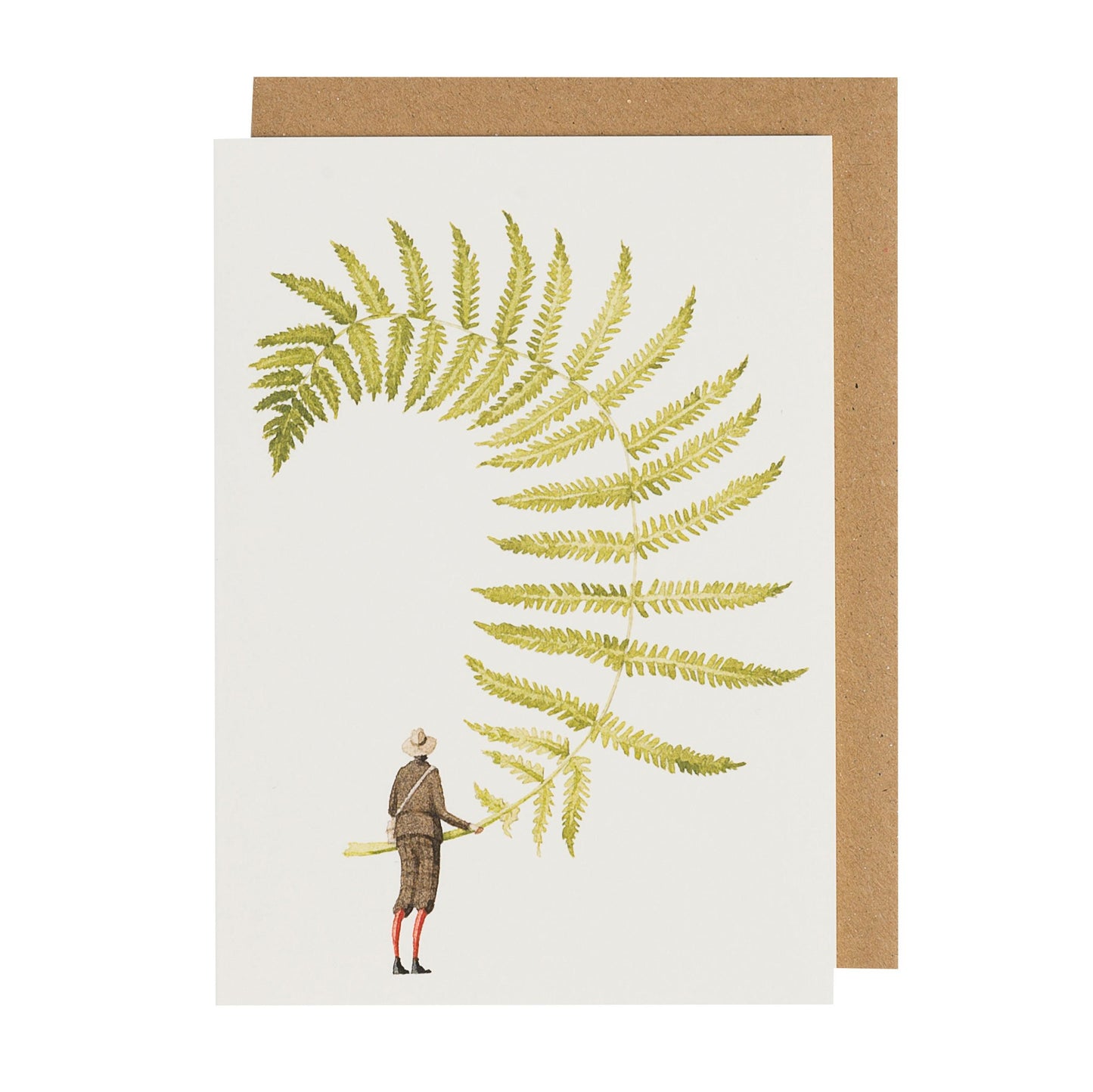 environmentally sustainable paper, compostable packaging, recycled paper, made in england, illustration, ferns