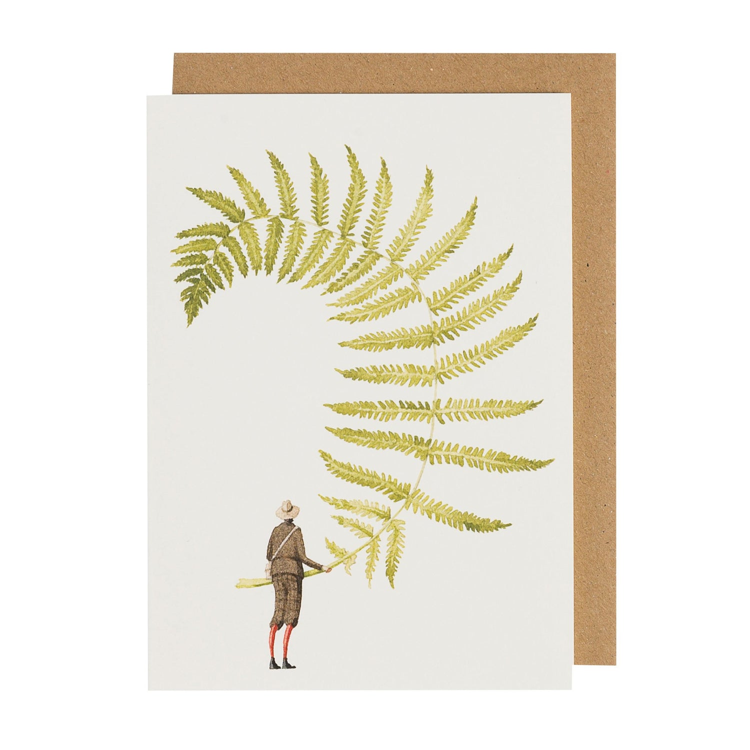 environmentally sustainable paper, compostable packaging, recycled paper, made in england, illustration, ferns