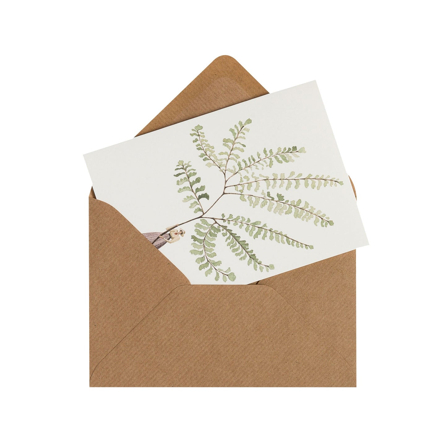 fsc paper, notecards, made in england, illustration, ferns