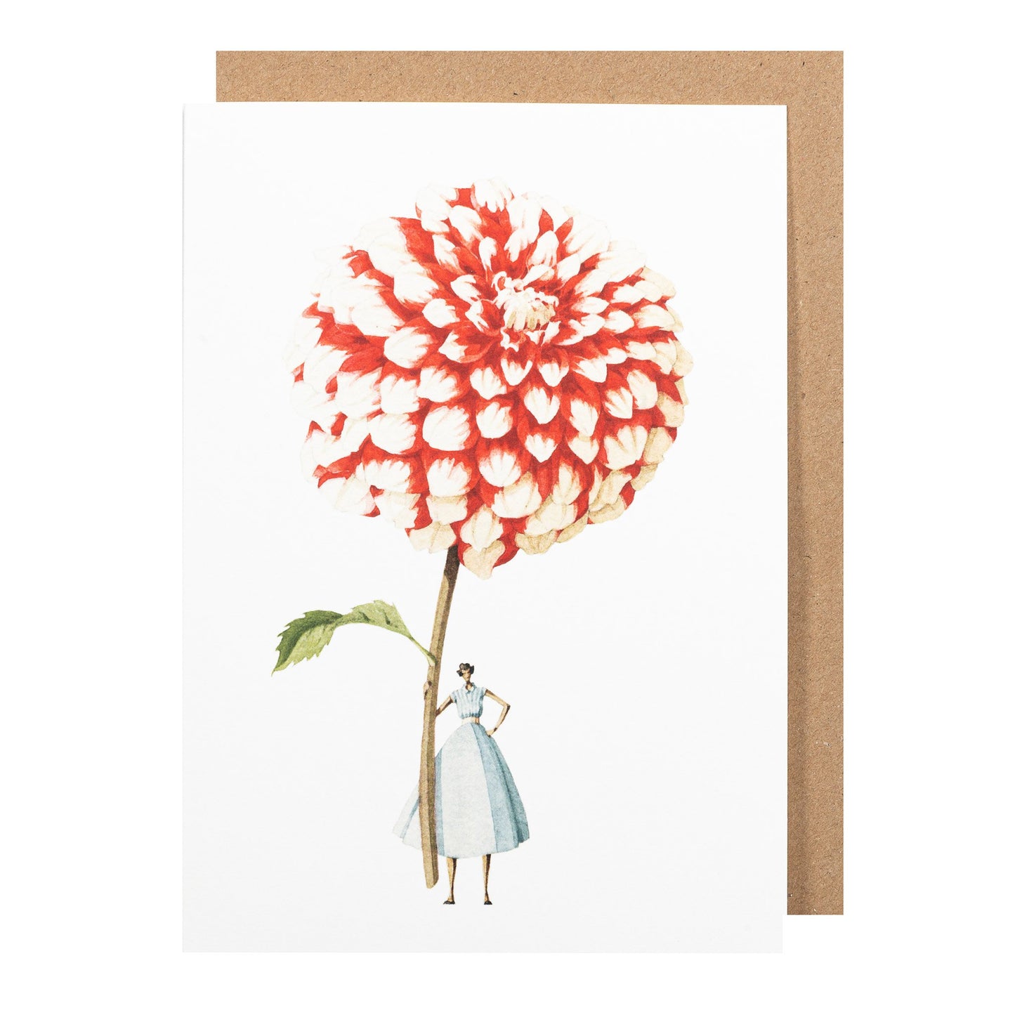 environmentally sustainable paper, compostable packaging, recycled paper, made in england, illustration, dahlia, red and white dahlia