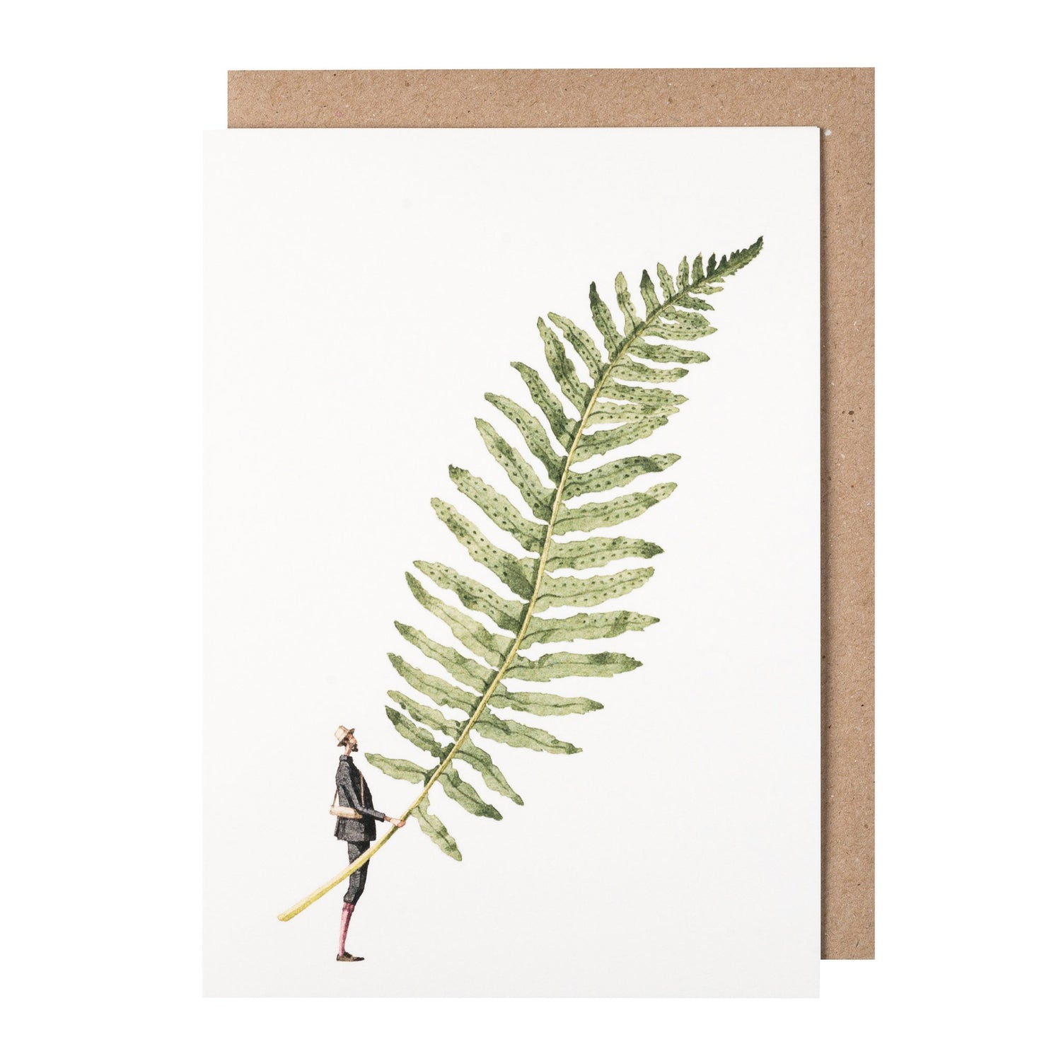 environmentally sustainable paper, compostable packaging, recycled paper, made in england, illustration, ferns