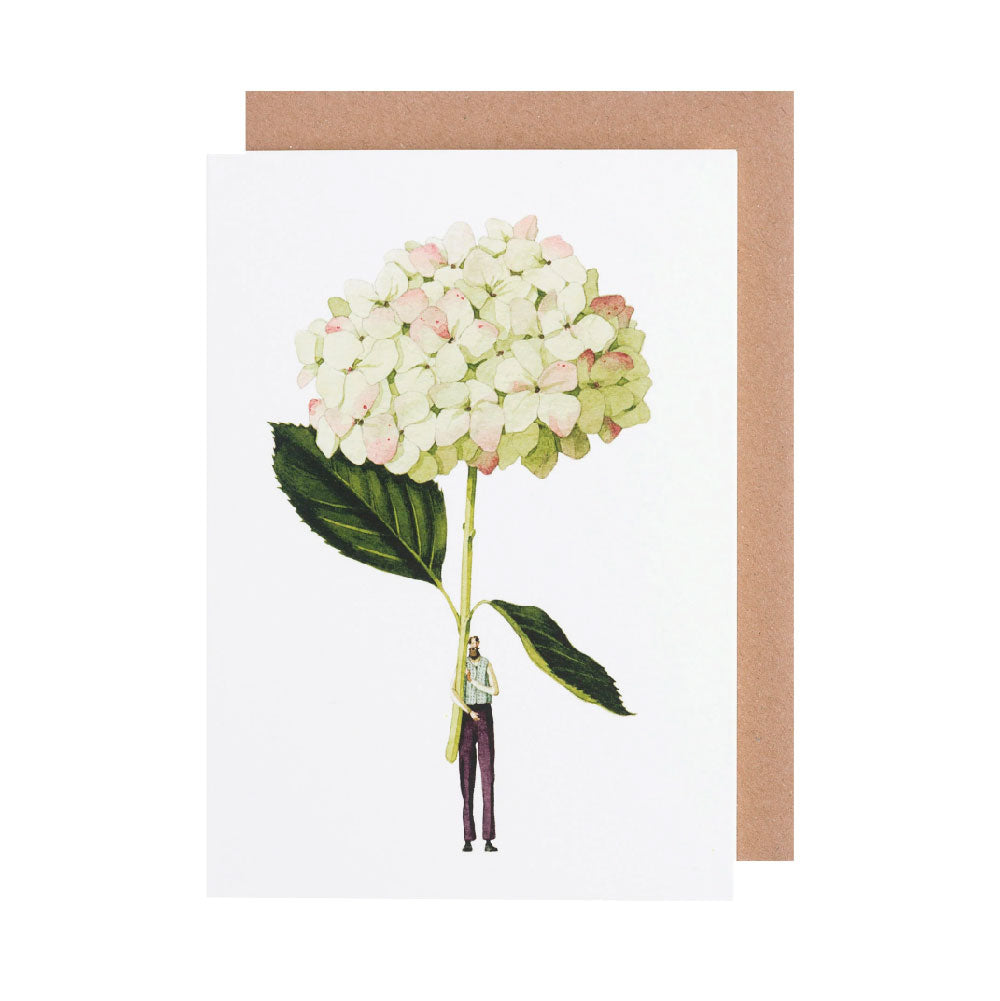 Green Hydrangea