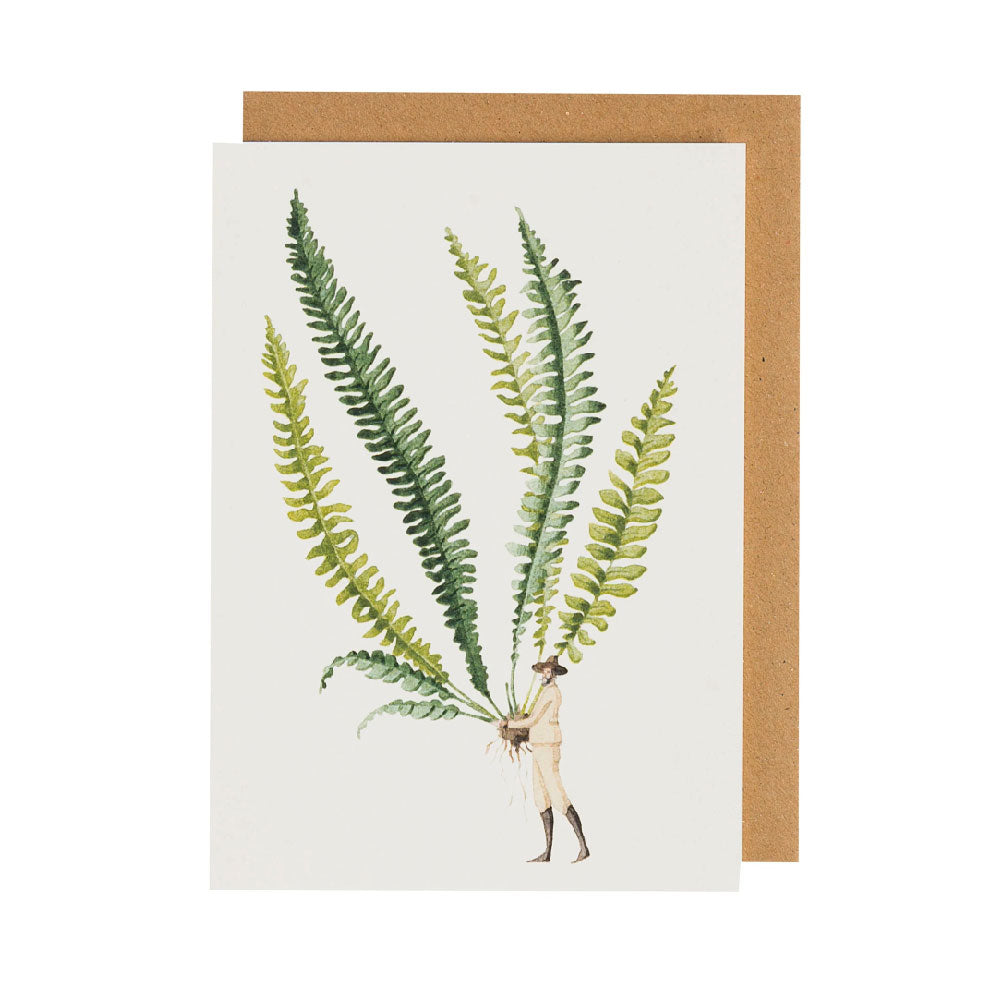 Fern 1