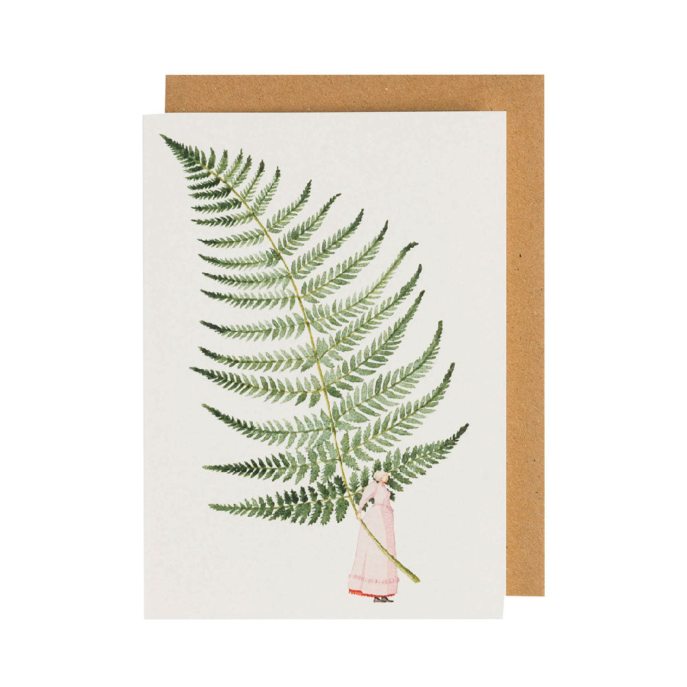 Fern 3