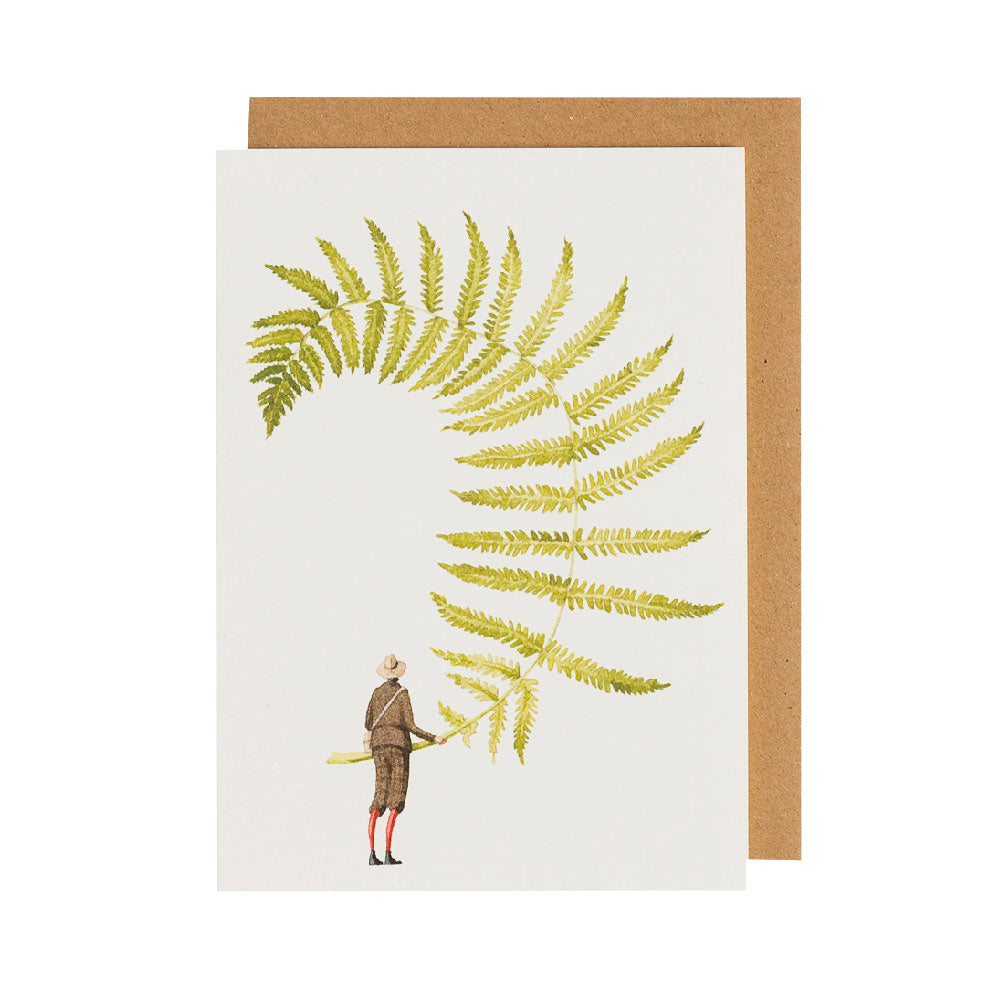 Fern 5