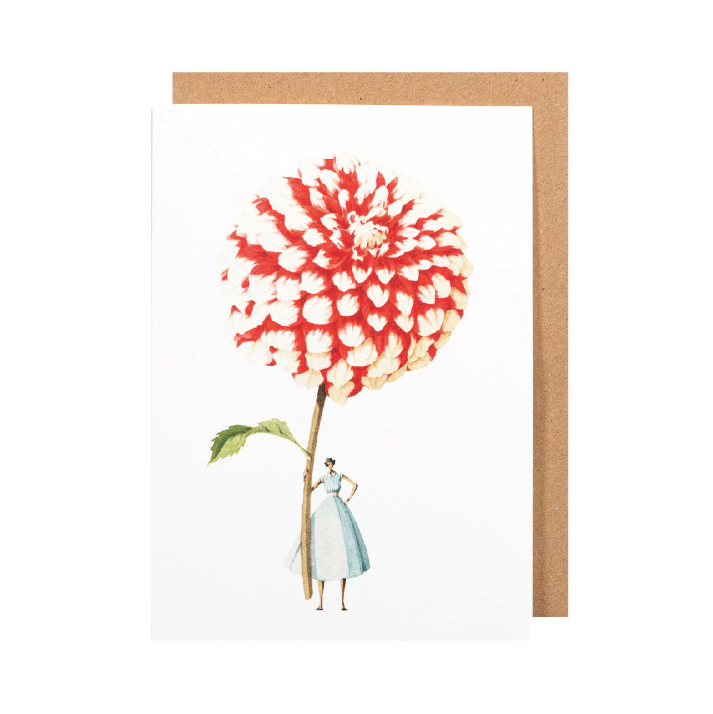 Dahlia - red and white