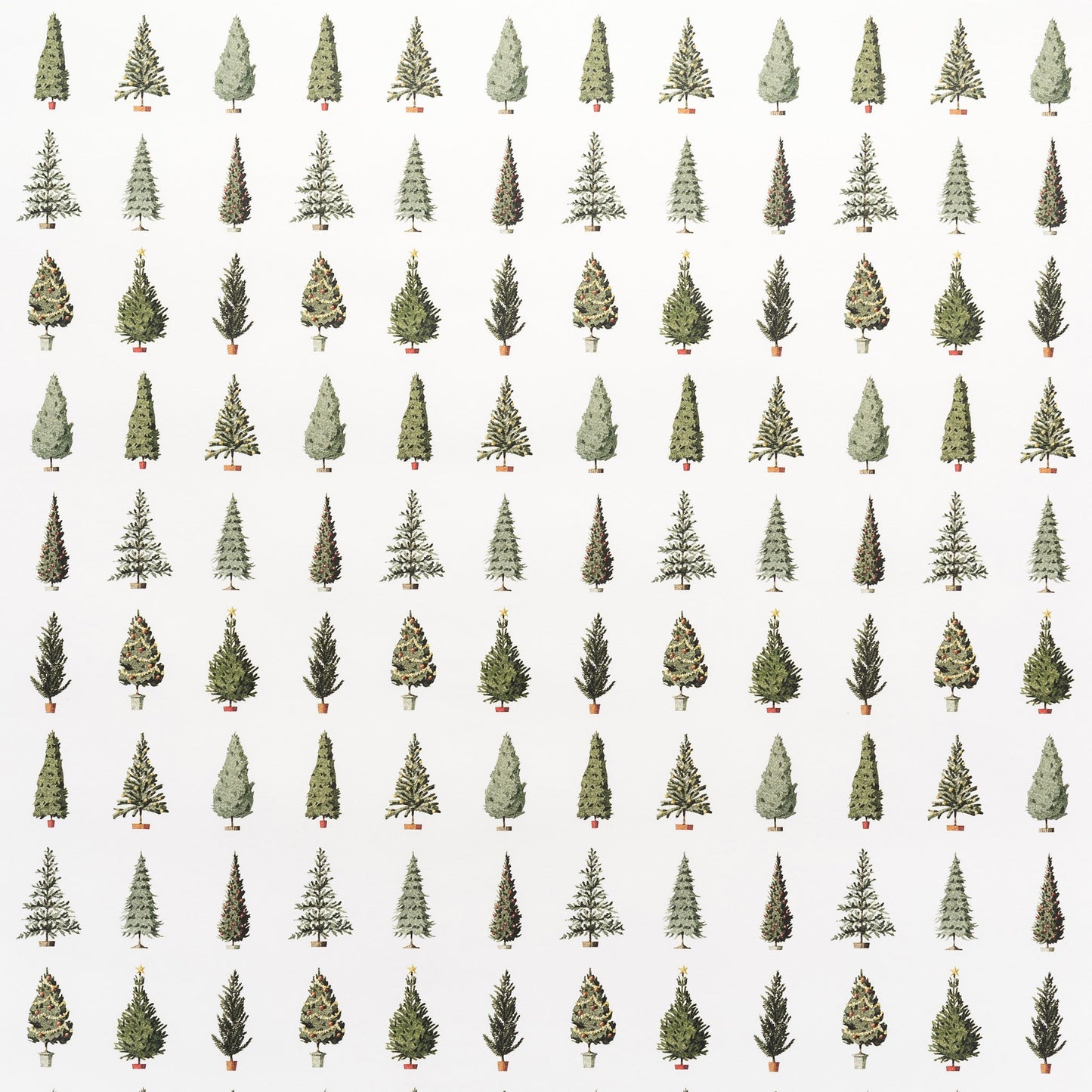 giftwrap, wrapping paper, fsc paper, made in england, illustration, christmas trees, christmas