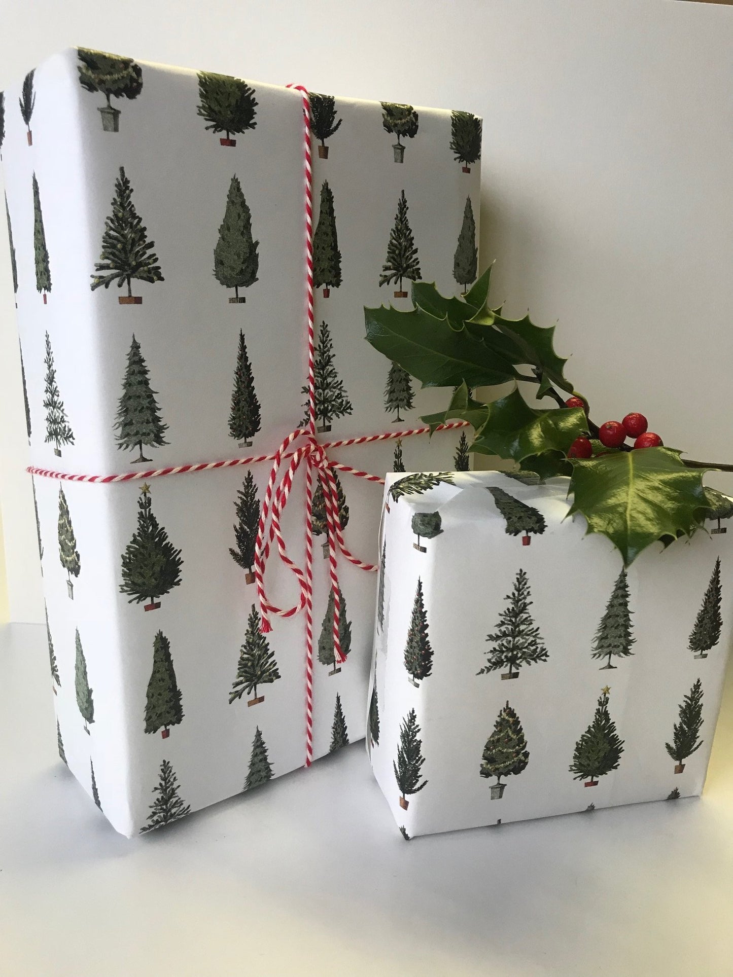 giftwrap, wrapping paper, fsc paper, made in england, illustration, christmas trees, christmas