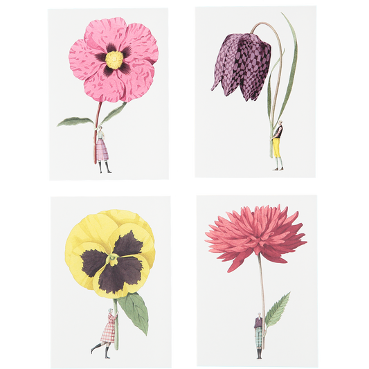 note cards, fsc paper, compostable packaging, flowers, made in England, illustration