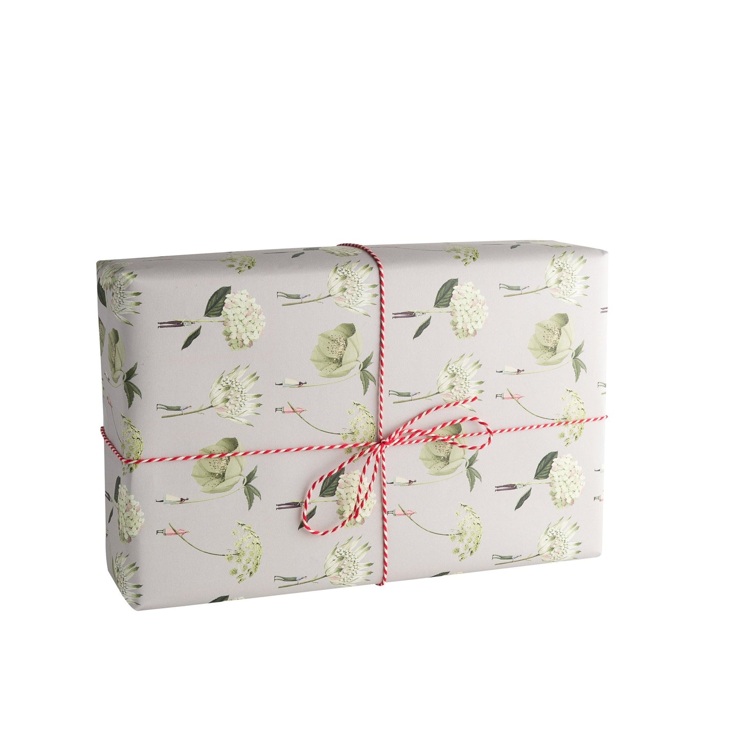giftwrap, wrapping paper, fsc paper, made in england, illustration, flowers