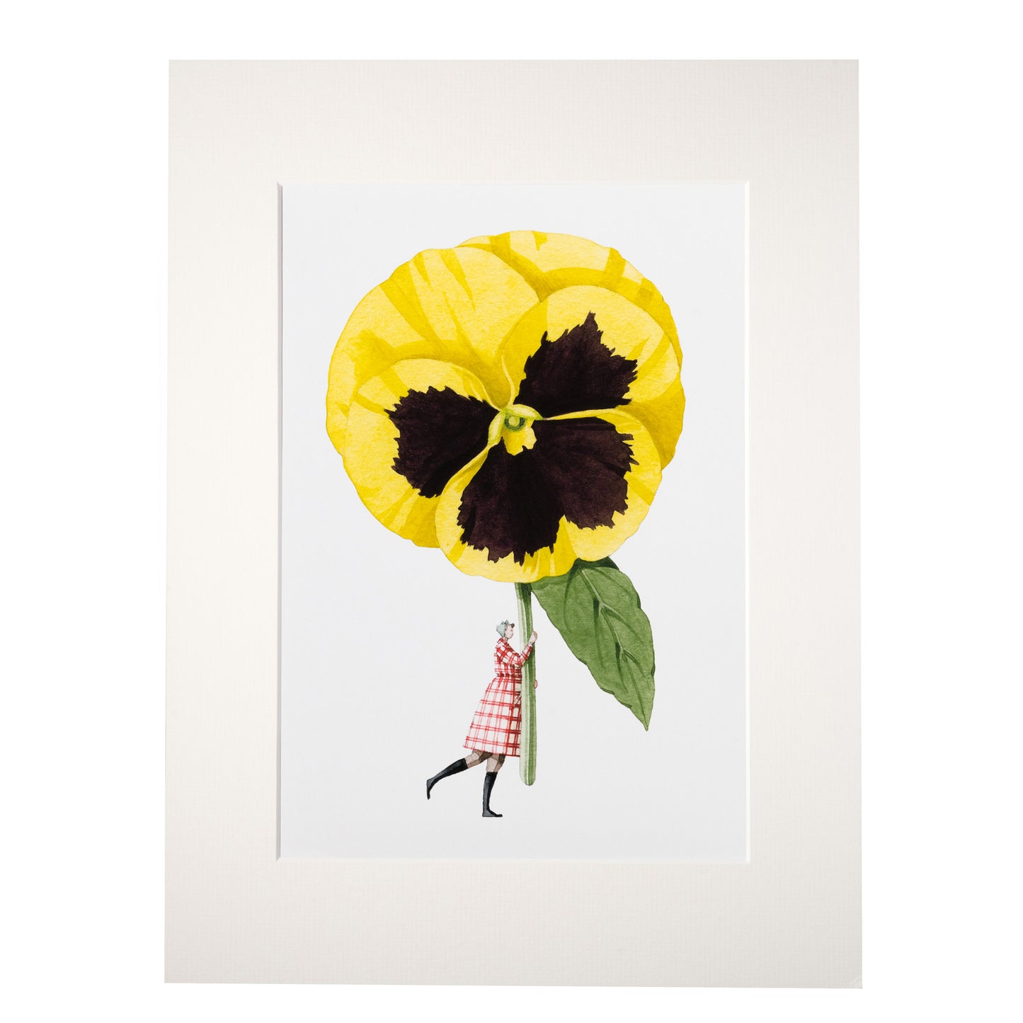 giclee print, mounted print, print, pansy, illustration, made in england, flowers, archival paper, art print