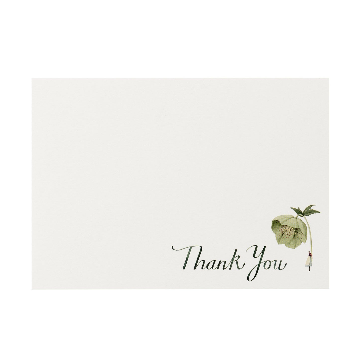 fsc paper, flatnotes, thank you notes, green flowers, hellebore, illustration, flowers, compostable, made in england