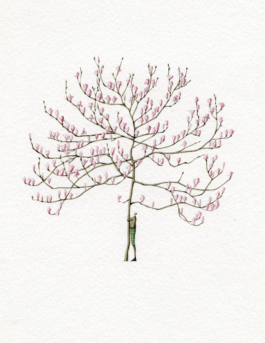 Limited edition "Magnolia Man" mounted print