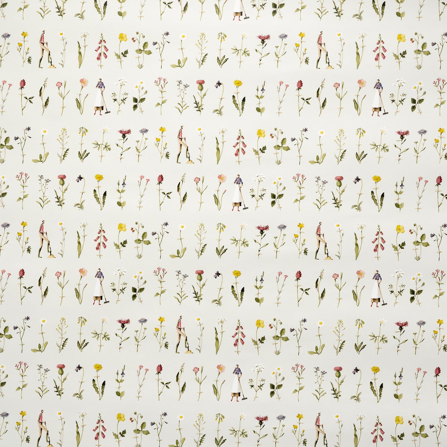 giftwrap, wrapping paper, fsc paper, made in england, illustration, wild flowers, flowers