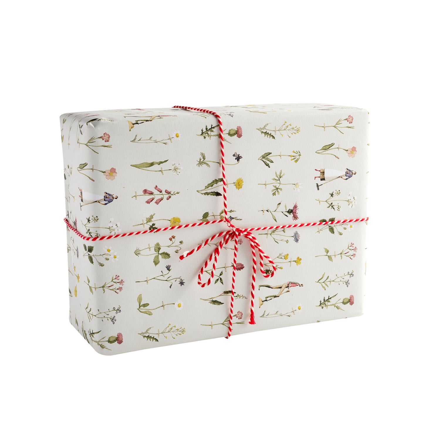 giftwrap, wrapping paper, fsc paper, made in england, illustration, wild flowers, flowers