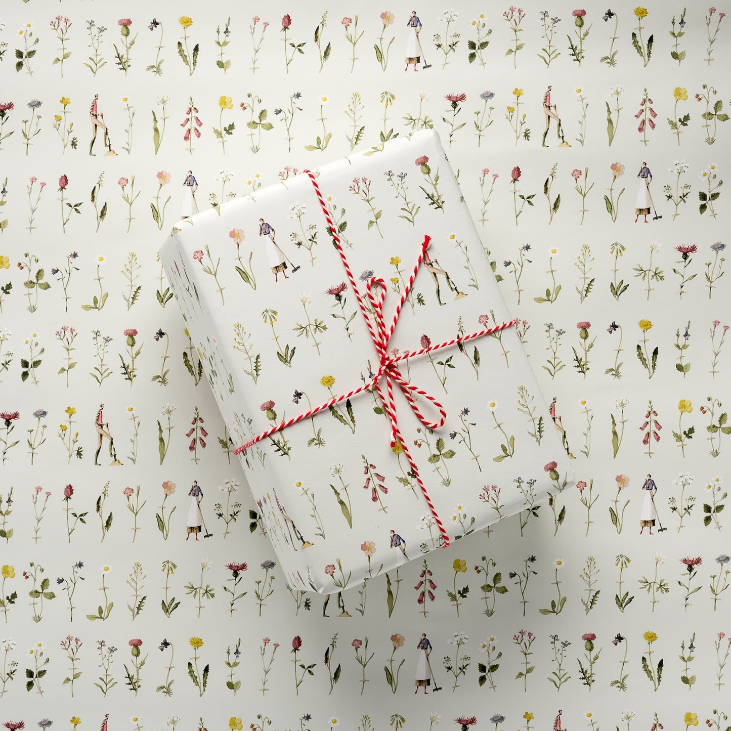 giftwrap, wrapping paper, fsc paper, made in england, illustration, wild flowers, flowers