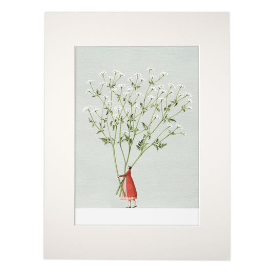 Cow Parsley mounted print