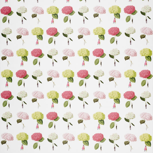 Hydrangeas Gift Wrap