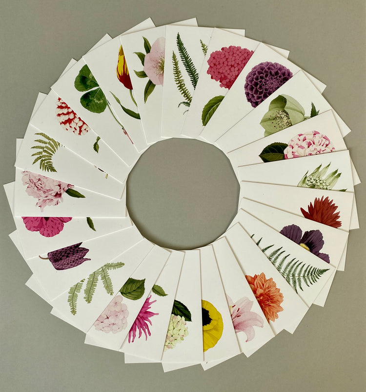 All Greetings Cards