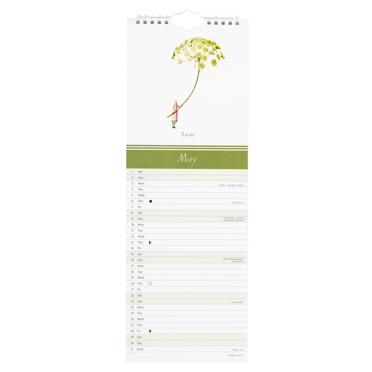 Laura Stoddart Wall Calendar 2027 - slim