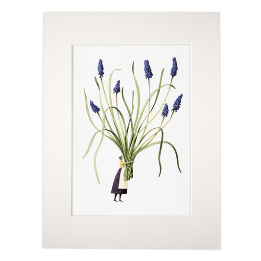 Muscari 'Spring Flowers' mounted print