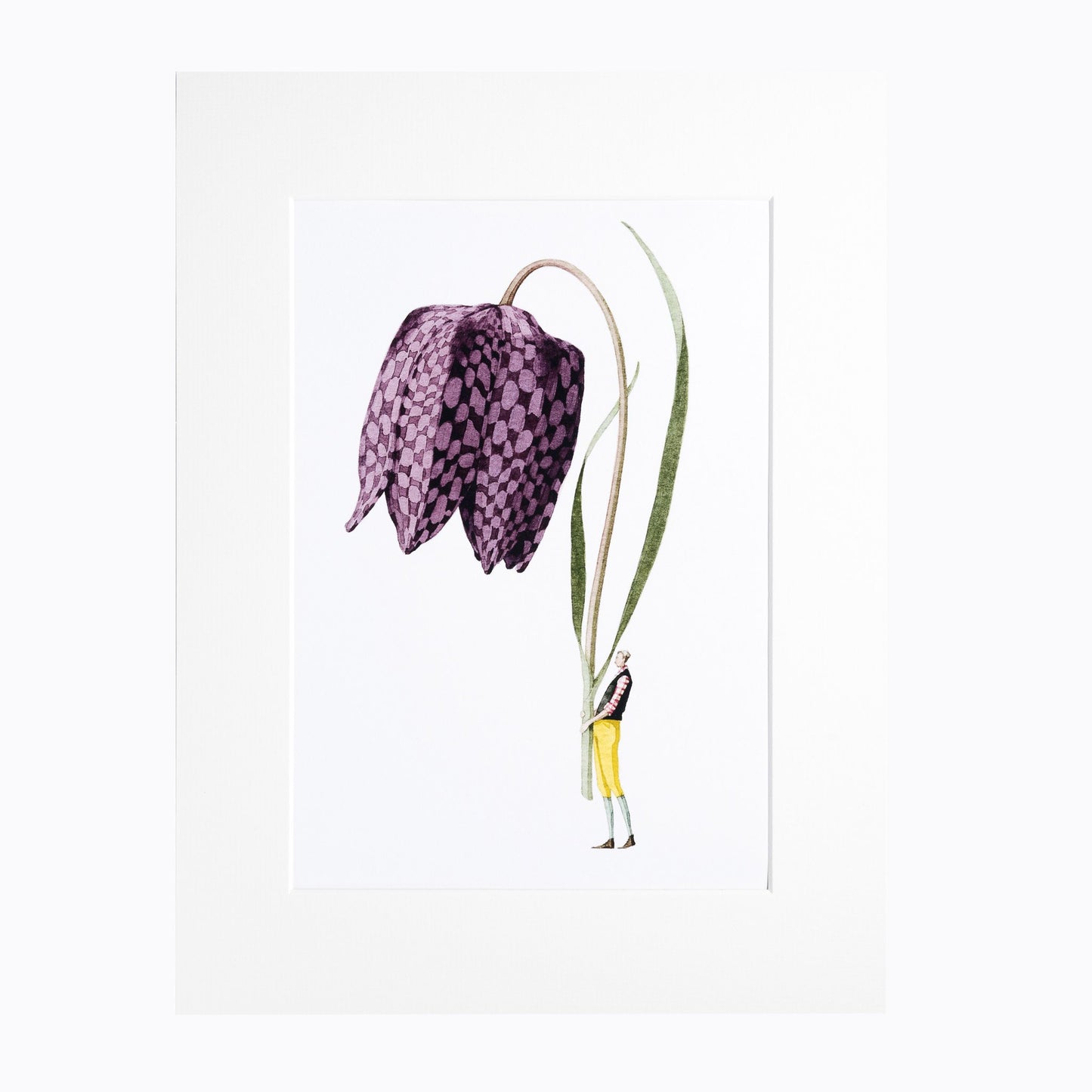 giclee print, mounted print, print, fritillary, illustration, made in england, flowers, archival paper, art print