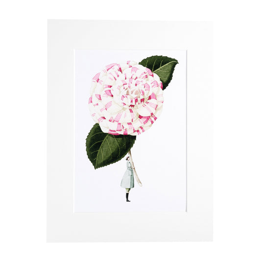 giclee print, mounted print, print, camellia, illustration, made in england, flowers, archival paper, art print