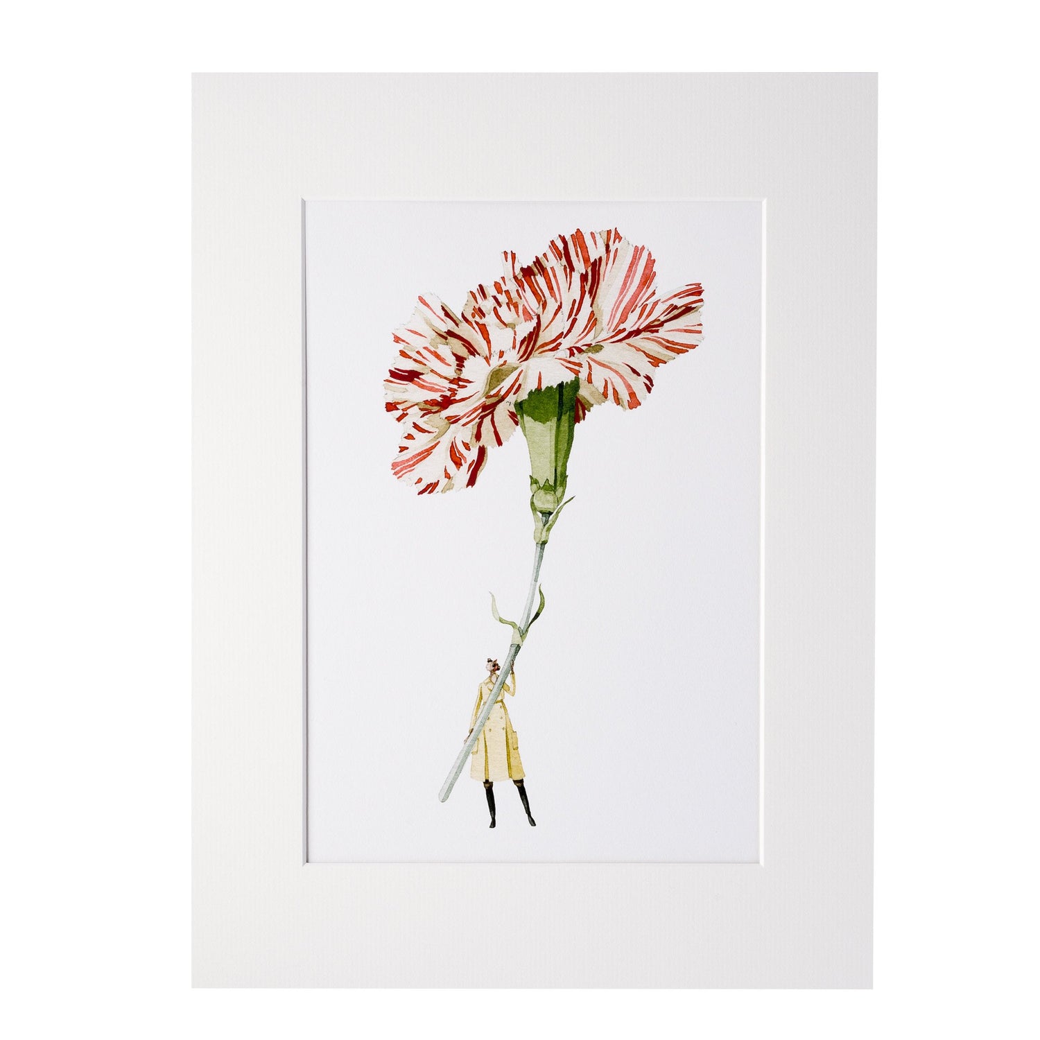 giclee print, mounted print, print, carnation, illustration, made in england, flowers, archival paper, art print