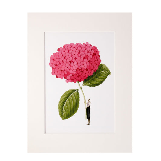 giclee print, mounted print, print, pink hydrangea, illustration, made in england, flowers, archival paper, art print