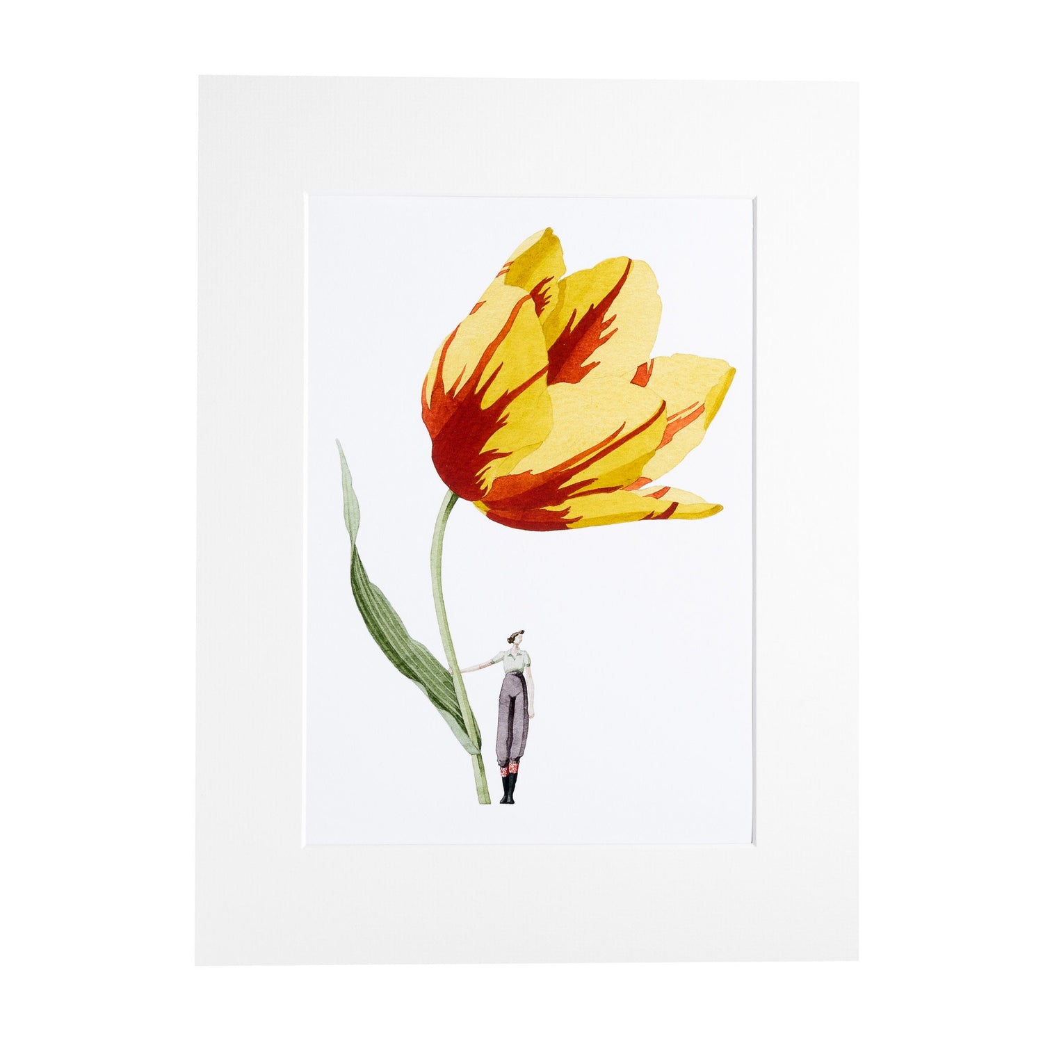 giclee print, mounted print, print, tulip, illustration, made in england, flowers, archival paper, art print