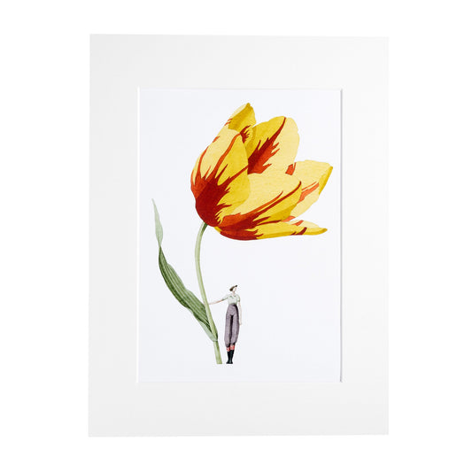 giclee print, mounted print, print, tulip, illustration, made in england, flowers, archival paper, art print