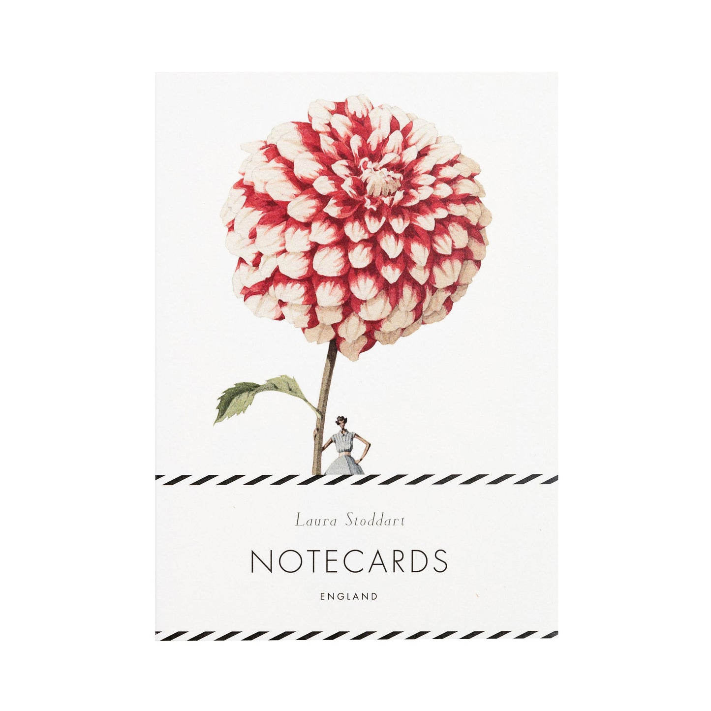fsc paper, notecards, made in england, illustration, flowers, dahlias