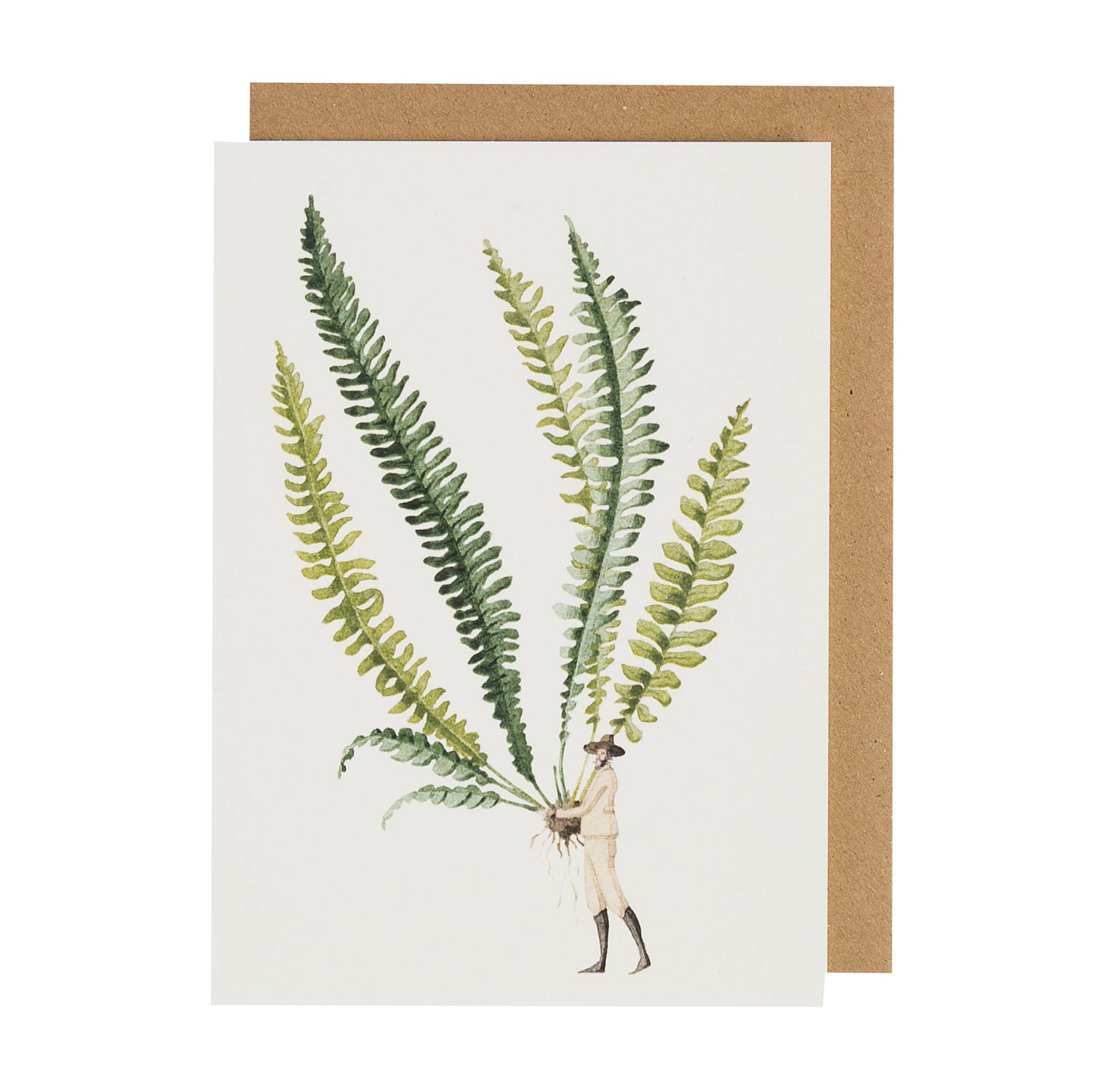 environmentally sustainable paper, compostable packaging, recycled paper, made in england, illustration, ferns
